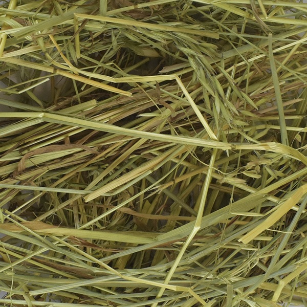 Heno de avena allpet