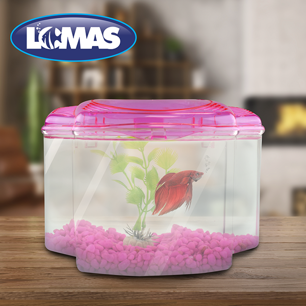 Acuario_Peceras