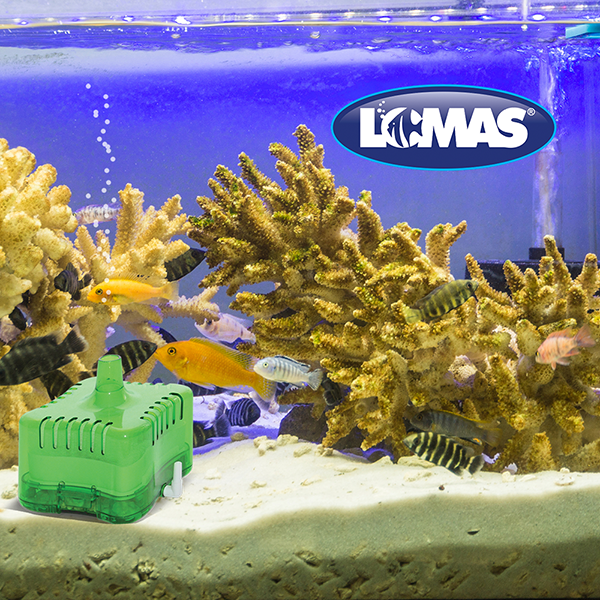 Filtro interno de caja AquaJet 25