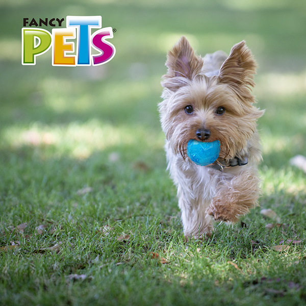 Pelota prisma con sonido