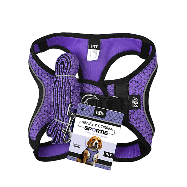 Arnés Morado  con tira reflejante y correa