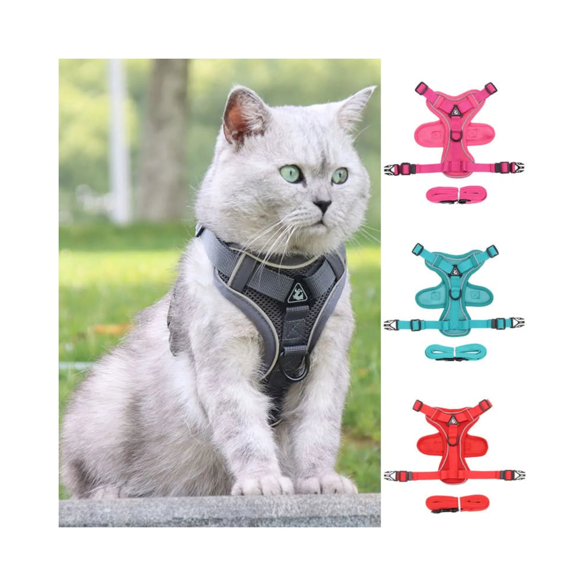 Gato usando pechera con vista de colores disponibles: rosa, azul, aqua y rojo.