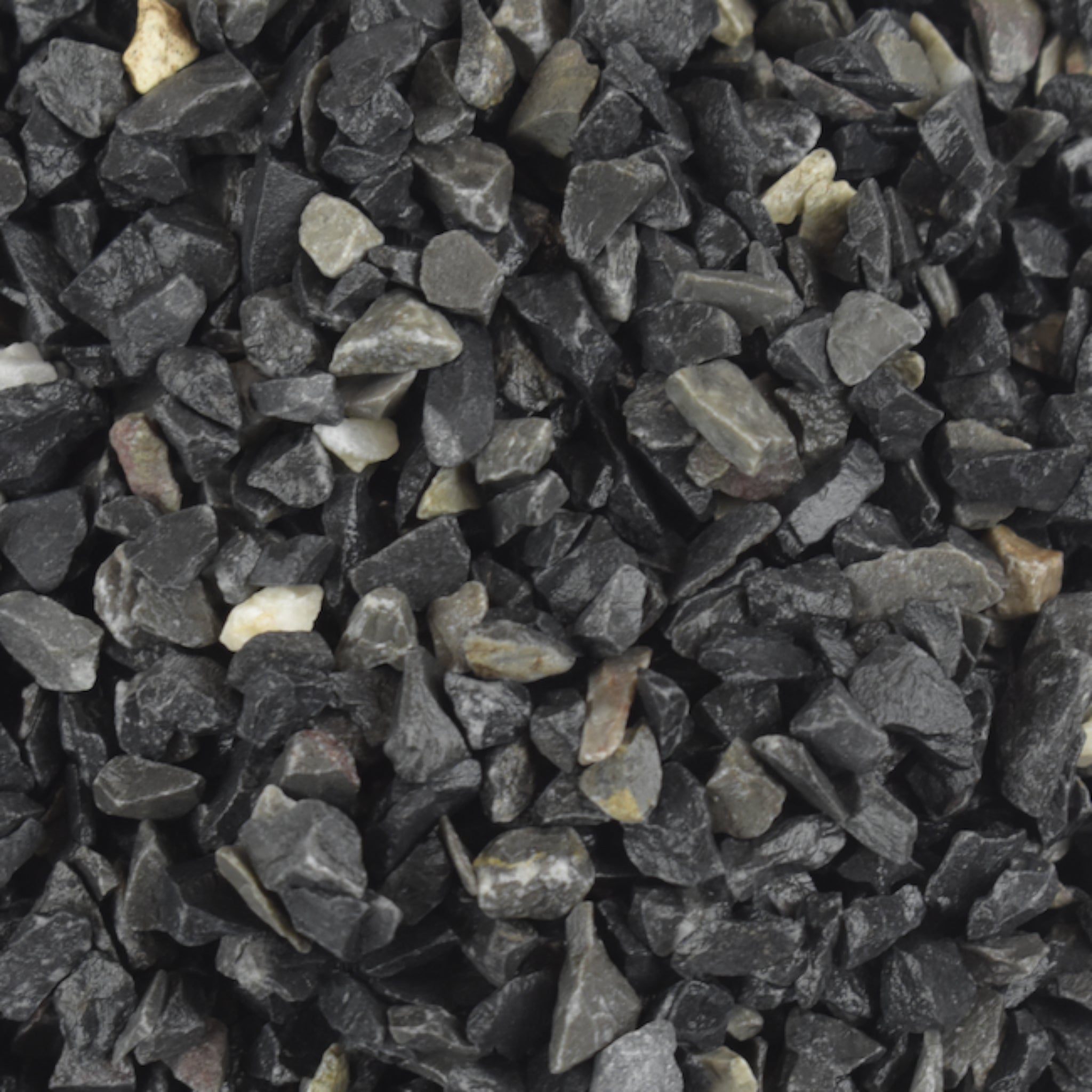 Grava color gris oxford para acuario en primer plano, ideal para resaltar colores de peces y plantas acuáticas