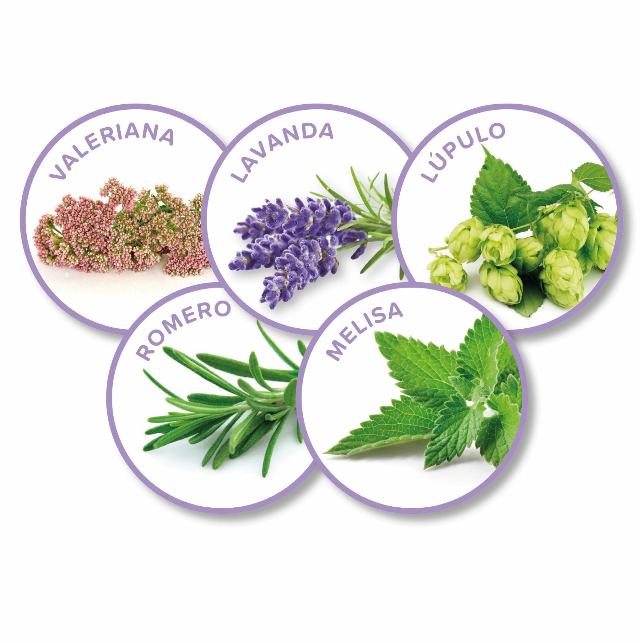 Fórmula natural del Spray Calmante Beaphar con valeriana, lavanda, lúpulo, romero y melisa, calmantes para perros y gatos.