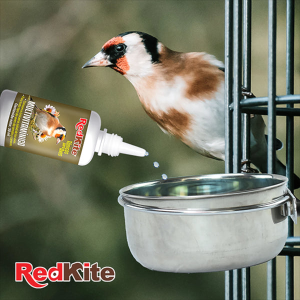 Tónico Multivitamínico RedKite aplicado en el bebedero de un ave de ornato para fortalecer salud y canto.