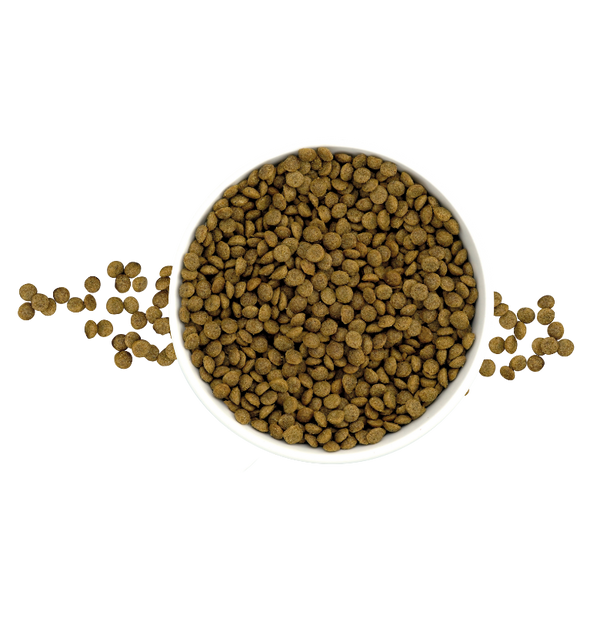 Nucan cachorro  raza pequeña