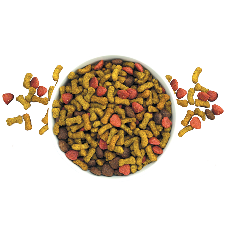 Nucan adulto senior