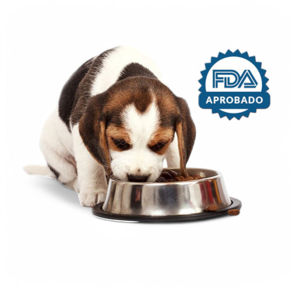 Plato de acero inoxidable sunny