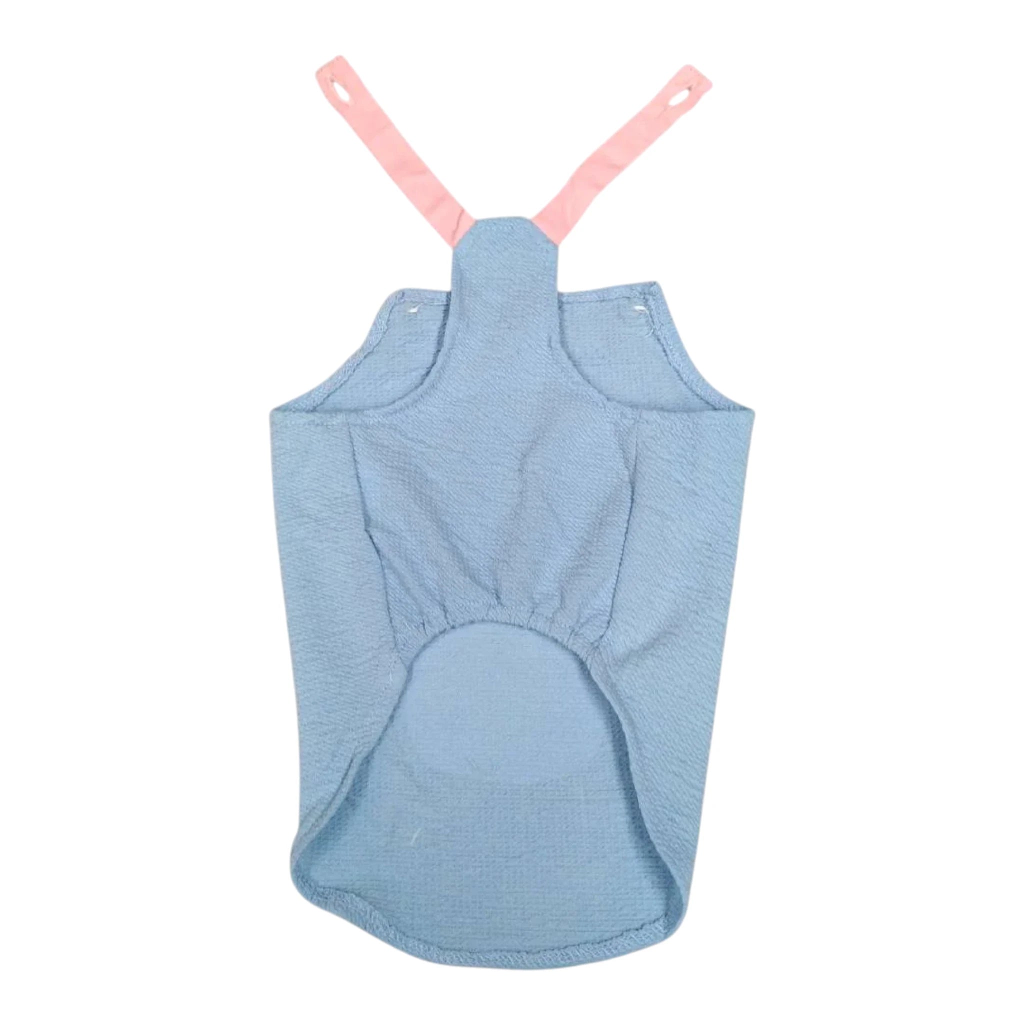 Vista trasera del jumper veraniego azul para perros y gatos pequeños