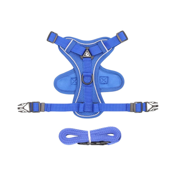 Pechera azul con correa incluida, ambas piezas visibles sobre fondo neutro.

