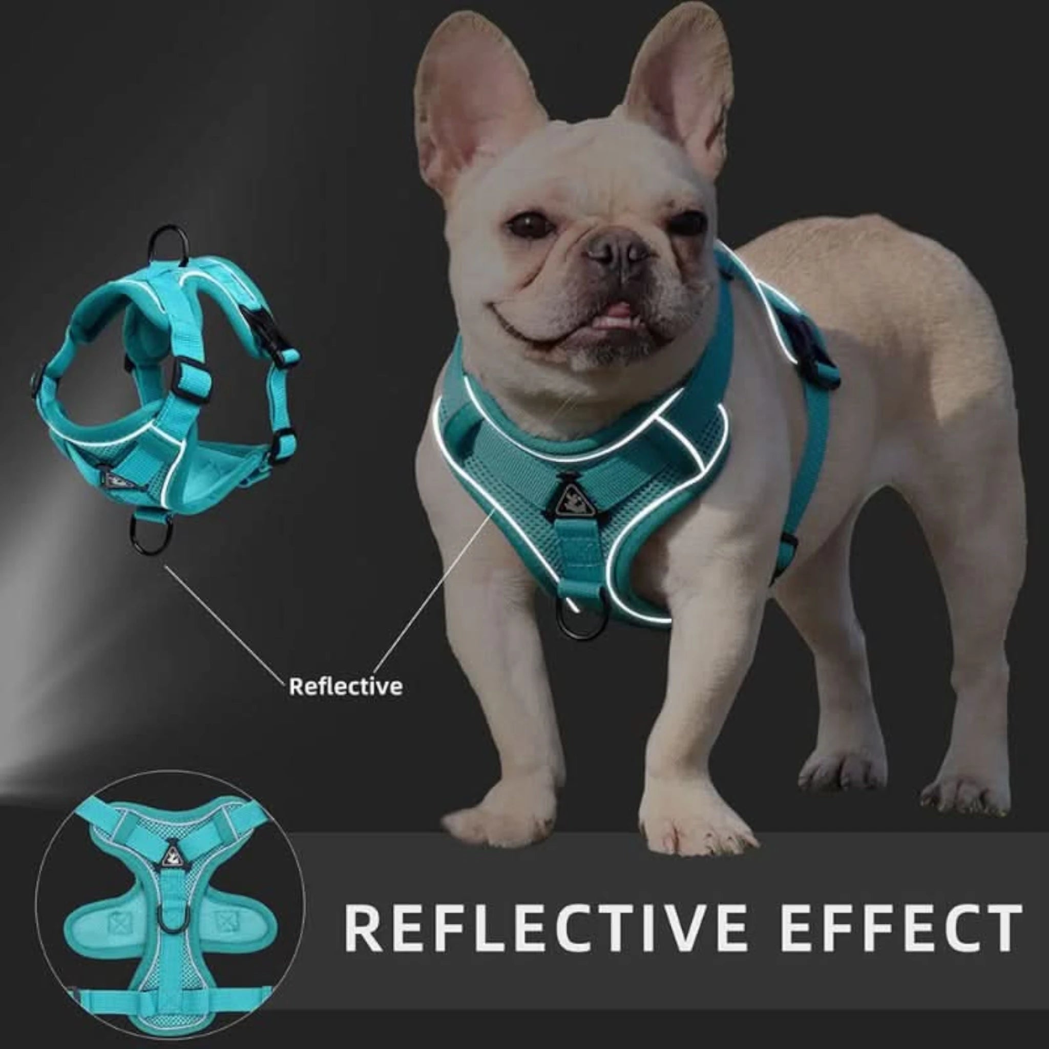 Perro usando pechera en la oscuridad, mostrando el efecto reflejante del arnés.