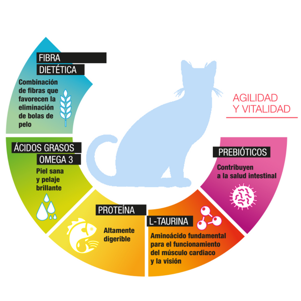 Perfect Sense Gato Adulto