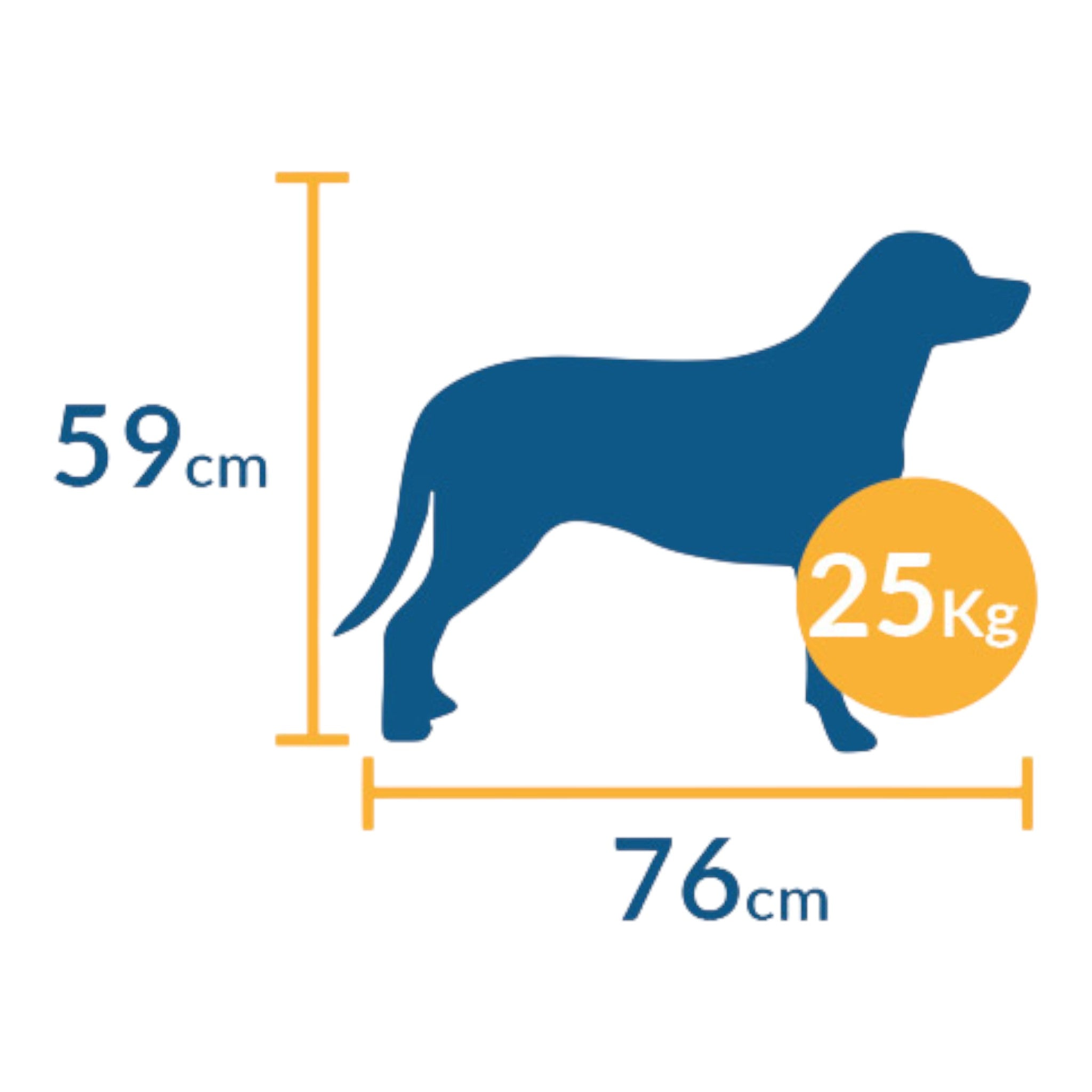 Perro mediano junto a guía de medidas máximas para transportadora kennel: 76 cm de largo, 59 cm de alto y 25 kg de peso
