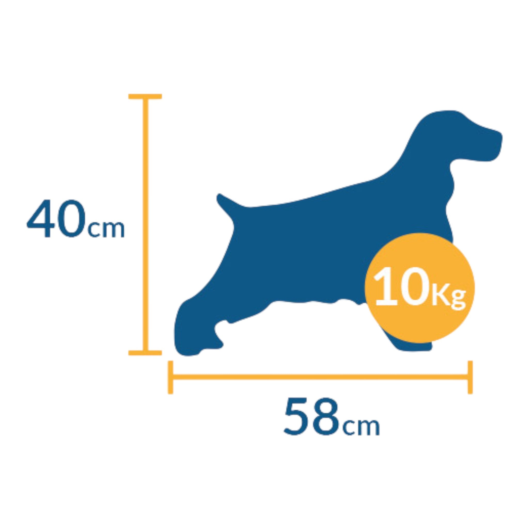 Diagrama de perro con medidas ideales para transportadora: 58 cm de largo, 40 cm de alto y peso de hasta 10 kg