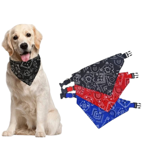Perro usando paliacate negro con diseño de bandana y collar ajustable para mascotas.