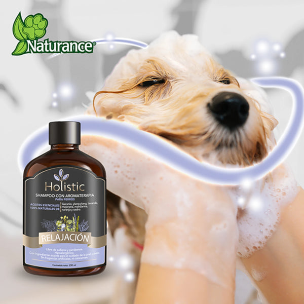 Perro siendo bañado con espuma mientras disfruta de un momento de relajación, con imagen del Shampoo Holístico en primer plano.