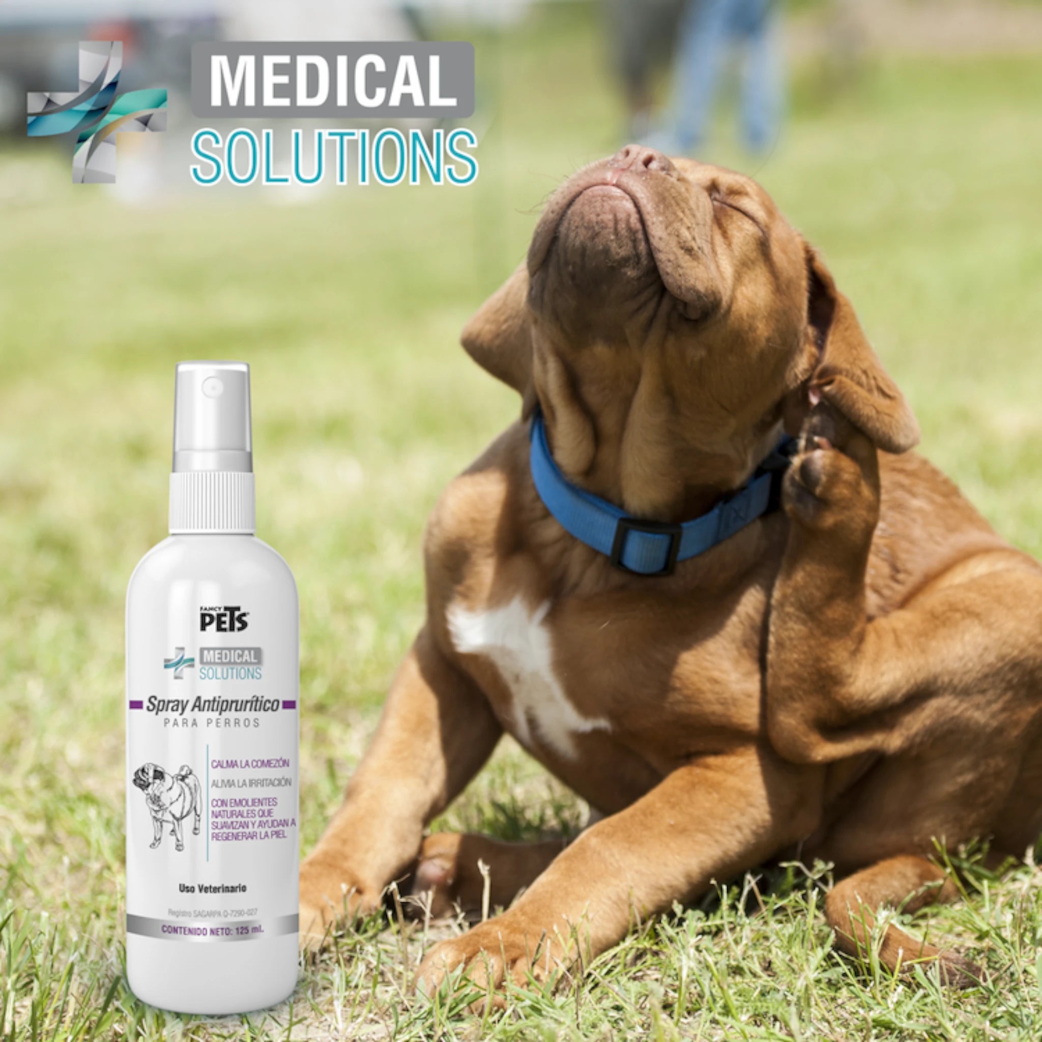Perro rascándose junto al Spray Antiprurítico, ideal para aliviar comezón, alergias y picaduras en mascotas.