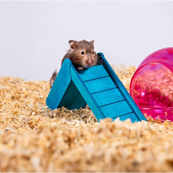 Hámster en su hábitat con sustrato de pino Über Pine, limpio, seco y seguro