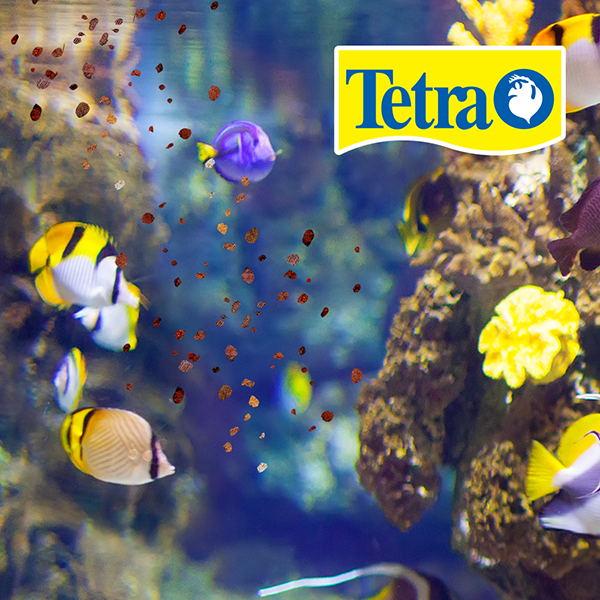 Tetracolor granulos para peces tropicales