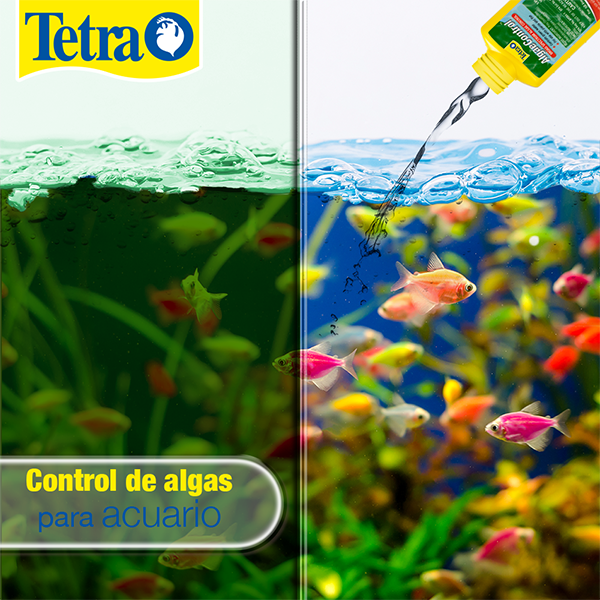 Algae Control 100ml