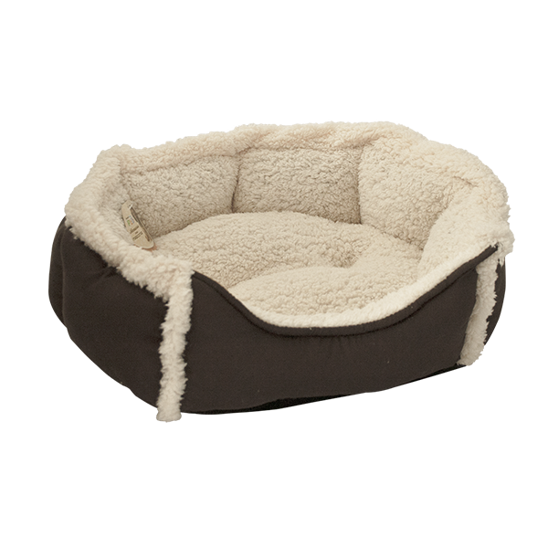 Cama maltés