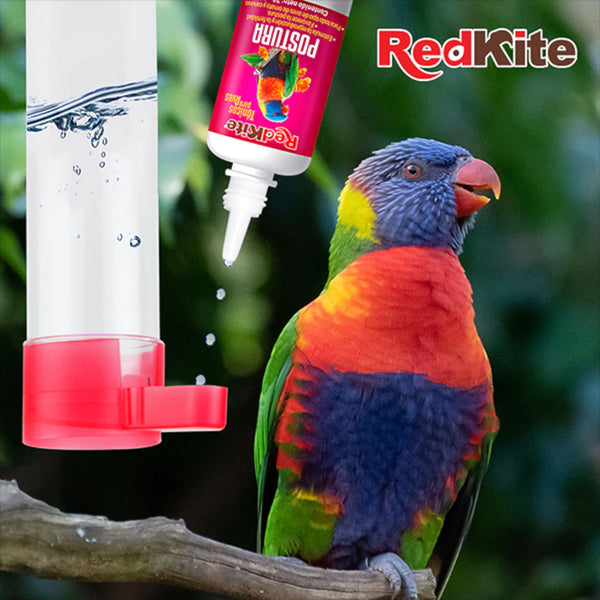imagen ilustrativa de un lorito tomando agua con tónico de postura