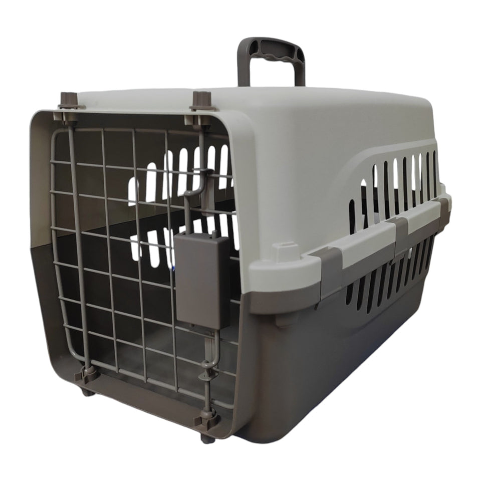 Gatos_Transportadoras