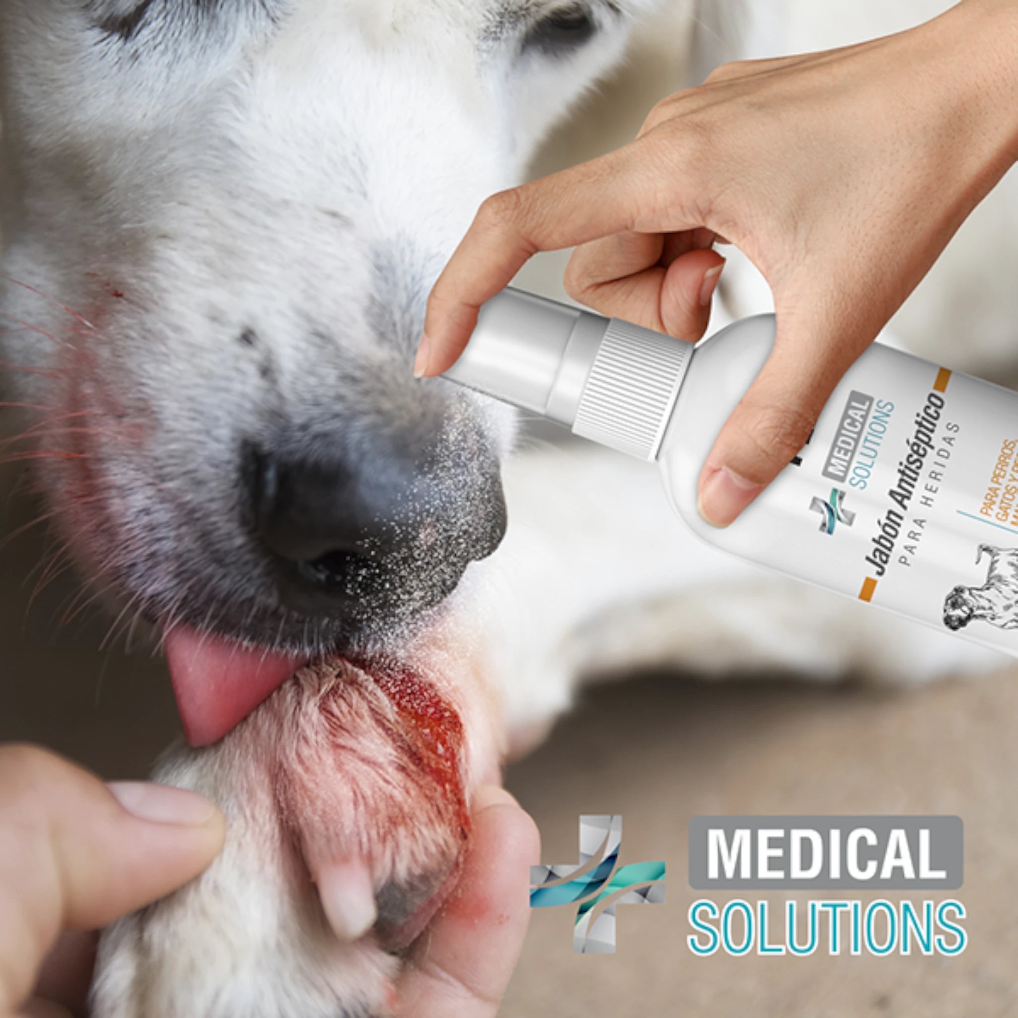 Persona aplicando Jabón Antiséptico Fancy Pets sobre una herida en la pata de un perro blanco, para limpieza y desinfección.