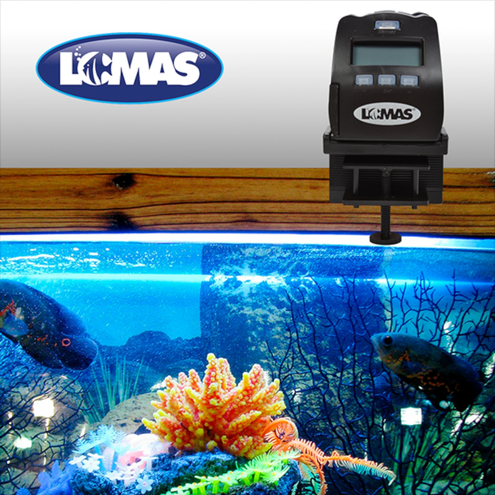Alimentador automático instalado en acuario con peces y decoración acuática.