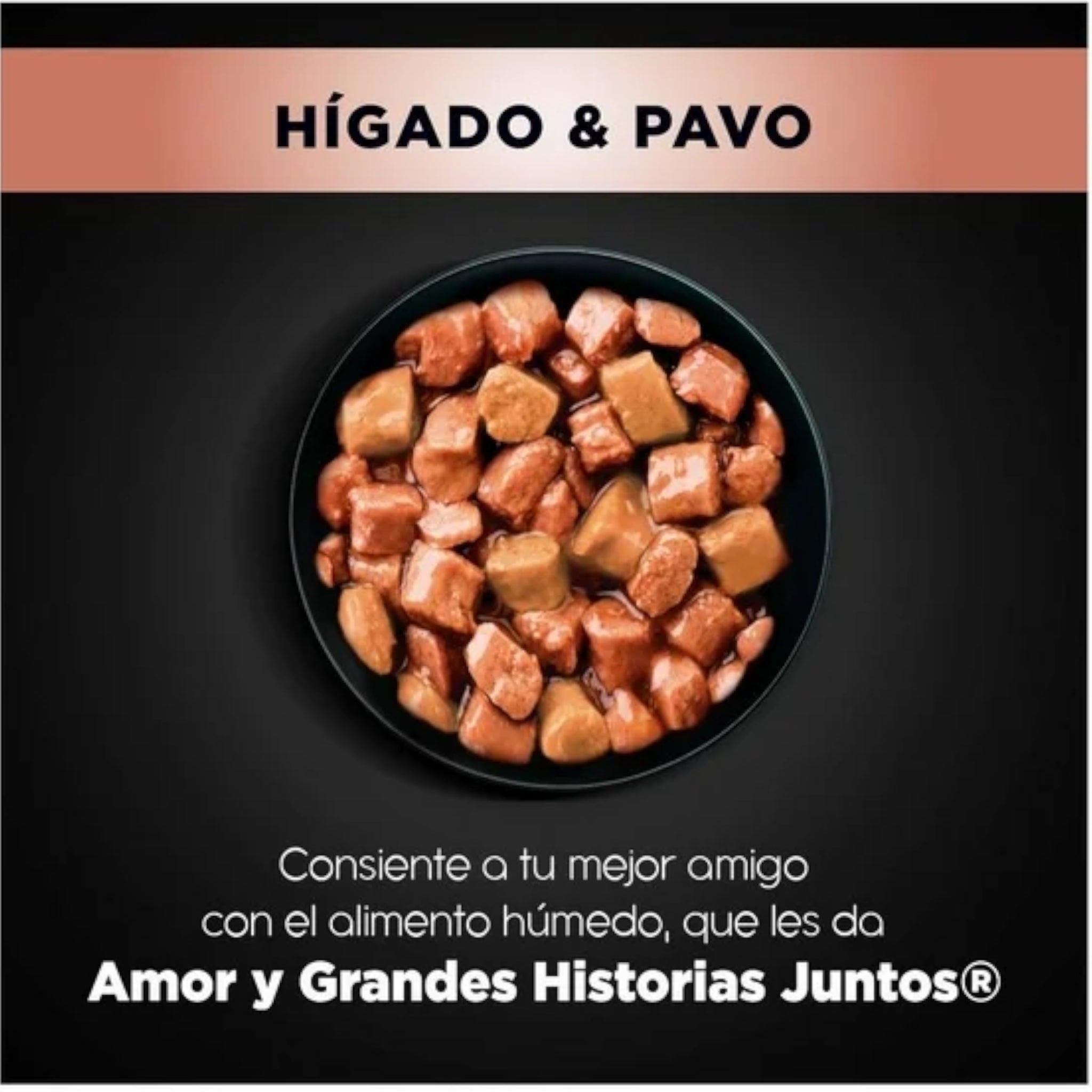alimento húmedo Ganador Premium sabor hígado y pavo para cachorro, trozos de carne en salsa
