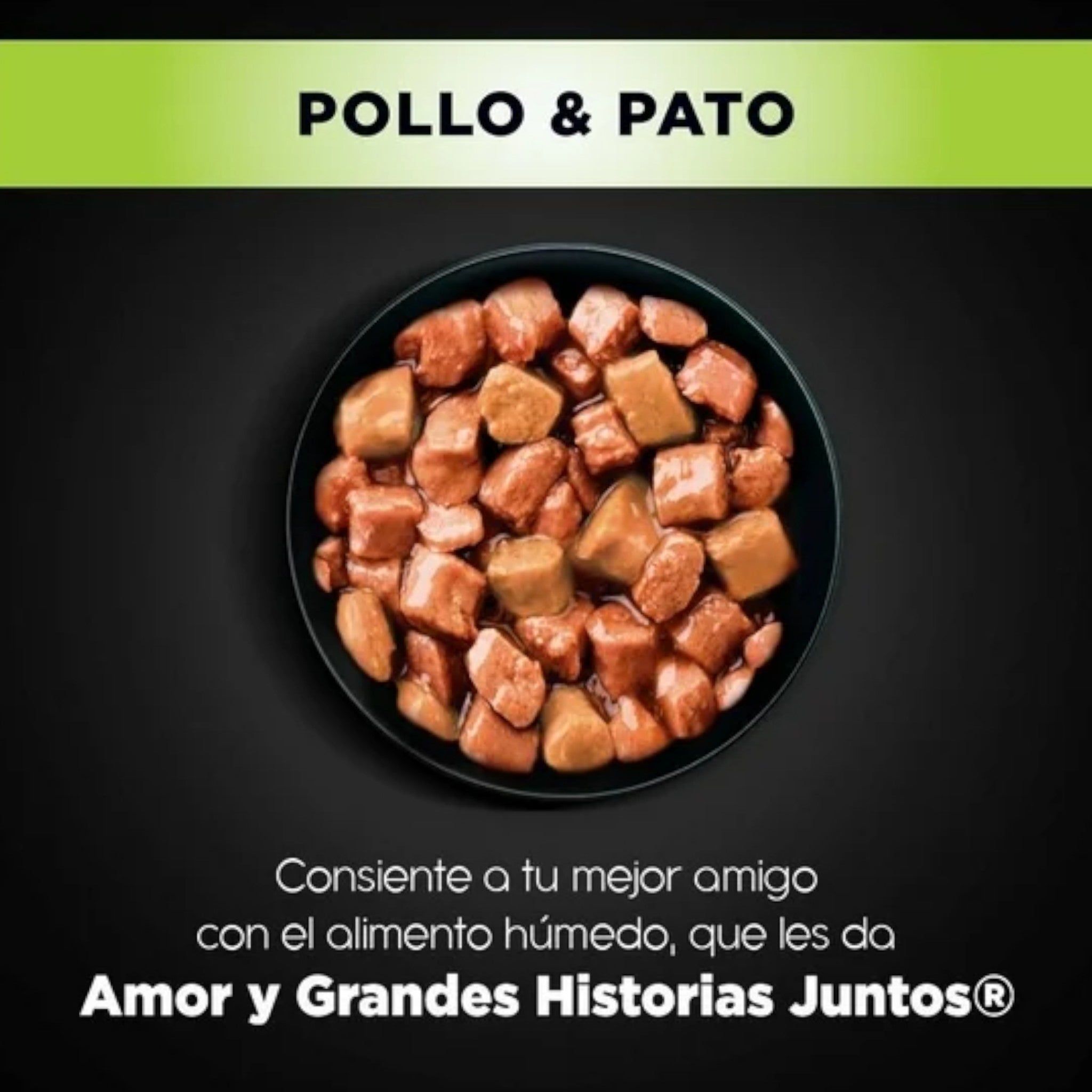 alimento húmedo Ganador Premium sabor pollo y pato para perros adultos de raza pequeña, trozos de carne en salsa