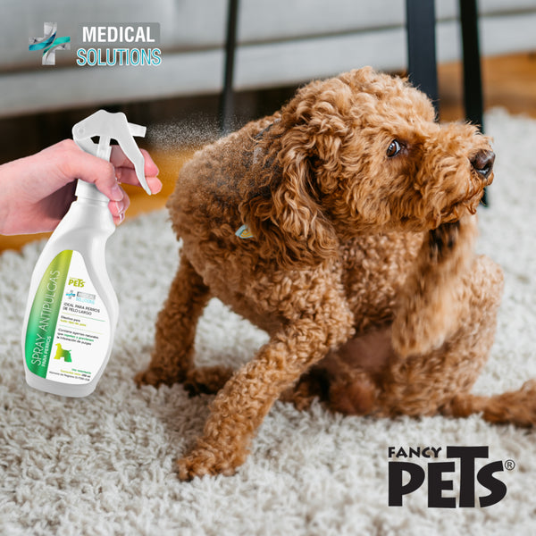 Persona aplicando el spray antipulgas natural sobre el lomo de un perro color canela, destacando su uso directo para prevenir que las pulgas se alojen.