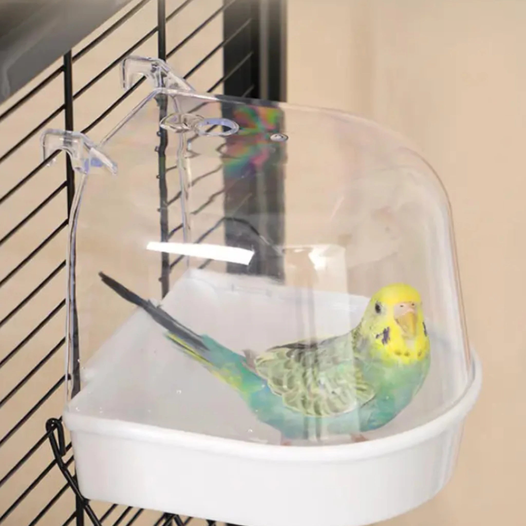 Bañera exterior transparente con base blanca para canarios y periquitos, colgada en la jaula con un ave bañándose dentro.