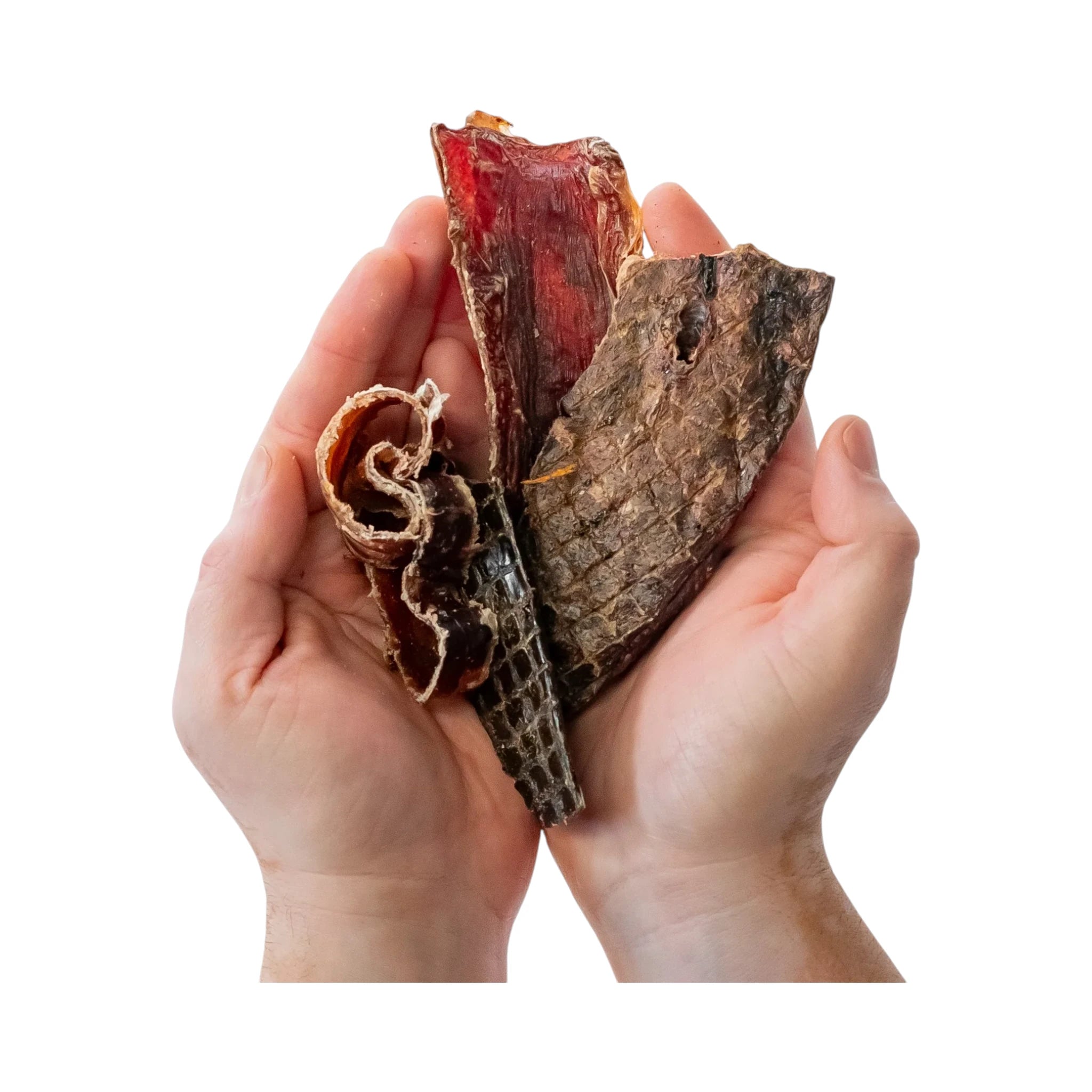 Manos sosteniendo piezas de Beef Mix: hígado, aritos de tráquea, esófago y pulmón de res deshidratados, mostrando variedad de texturas para masticación canina.