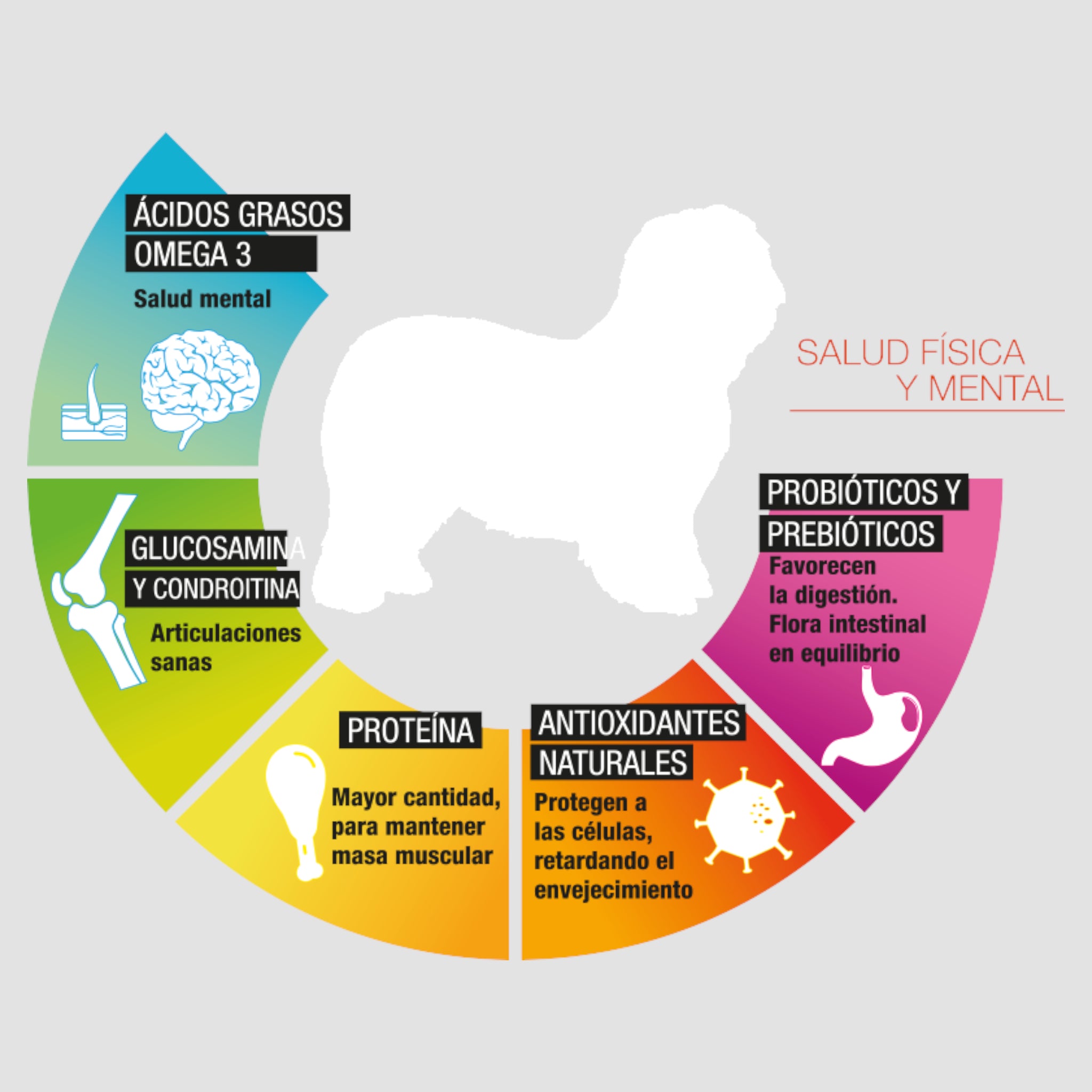 Infografía del alimento Perfect Sense para perro senior con apoyo articular digestivo e inmunológico