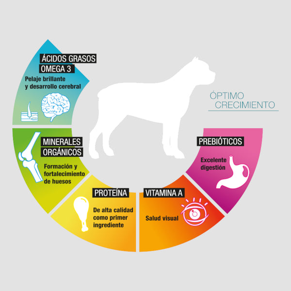 Gráfico de beneficios del alimento Perfect Sense Cachorro con Omega 3, proteína de pollo, minerales orgánicos y prebióticos para desarrollo integral.