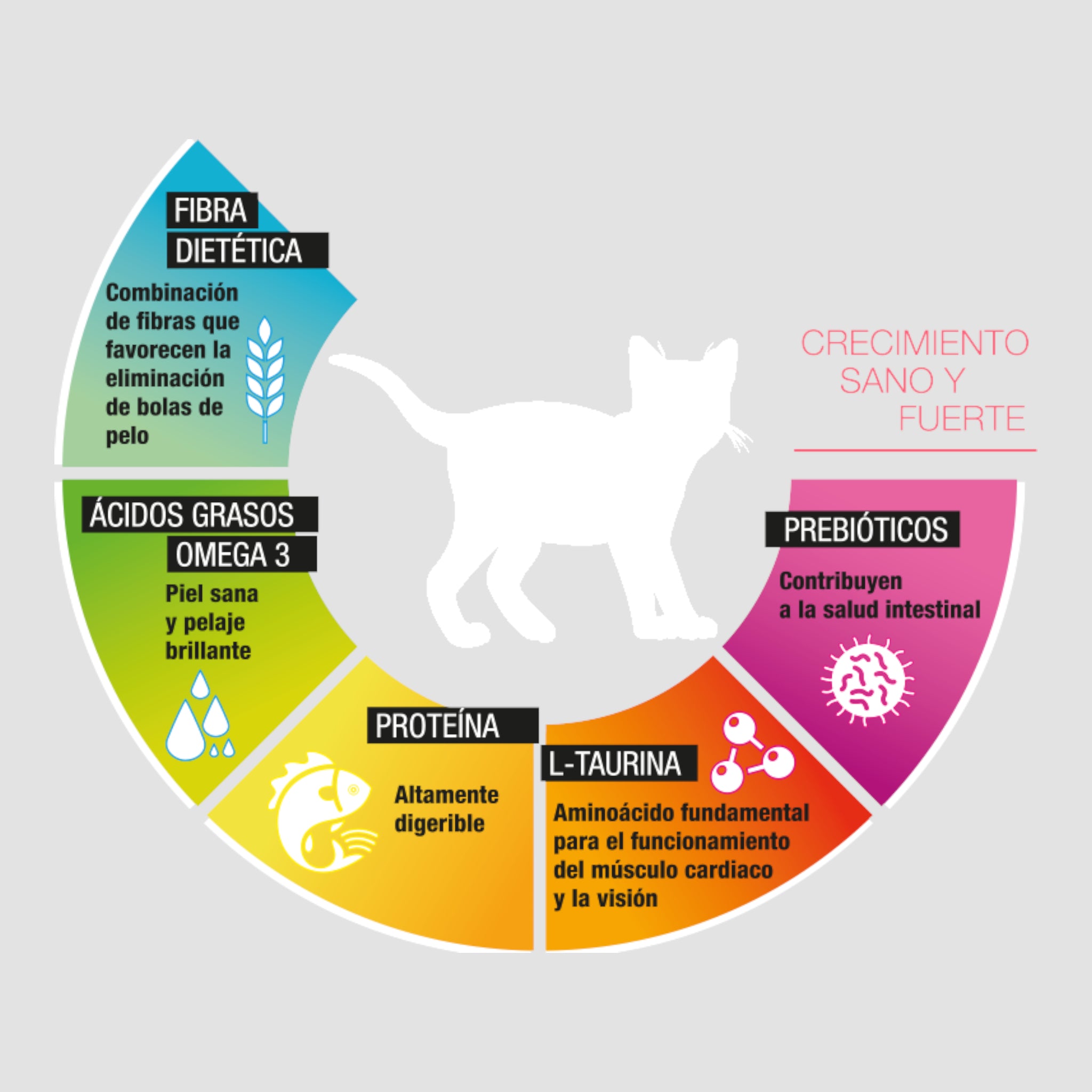 Beneficios nutricionales del alimento Perfect Sense Kitten para gatitos, digestión y desarrollo saludable