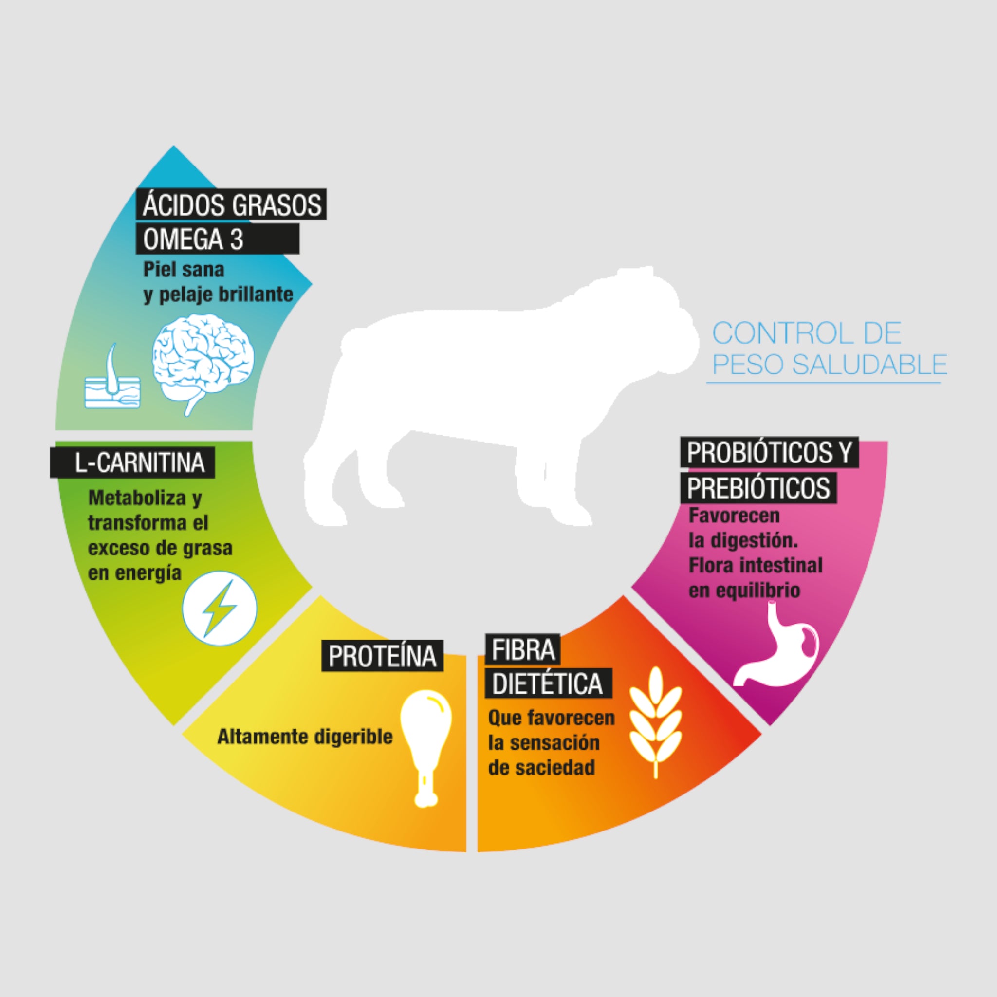 Beneficios del alimento Perfect Sense Light para perros, apoyo en control de peso y bienestar diario