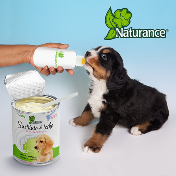 Cachorro de raza Bernés de la Montaña siendo alimentado con biberón usando la fórmula de leche Naturance.