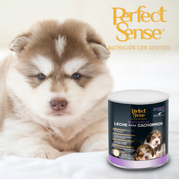 cachorro husky recostado junto a lata de sustituto de leche para cachorros Perfect Sense de 360g, ideal para perros recién nacidos