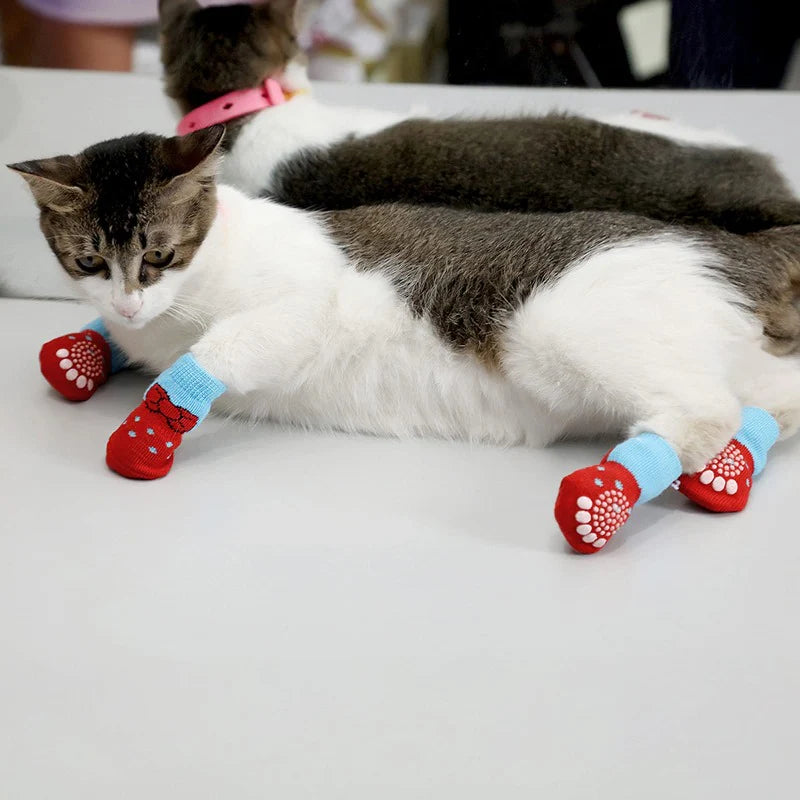 Ropa para gatos