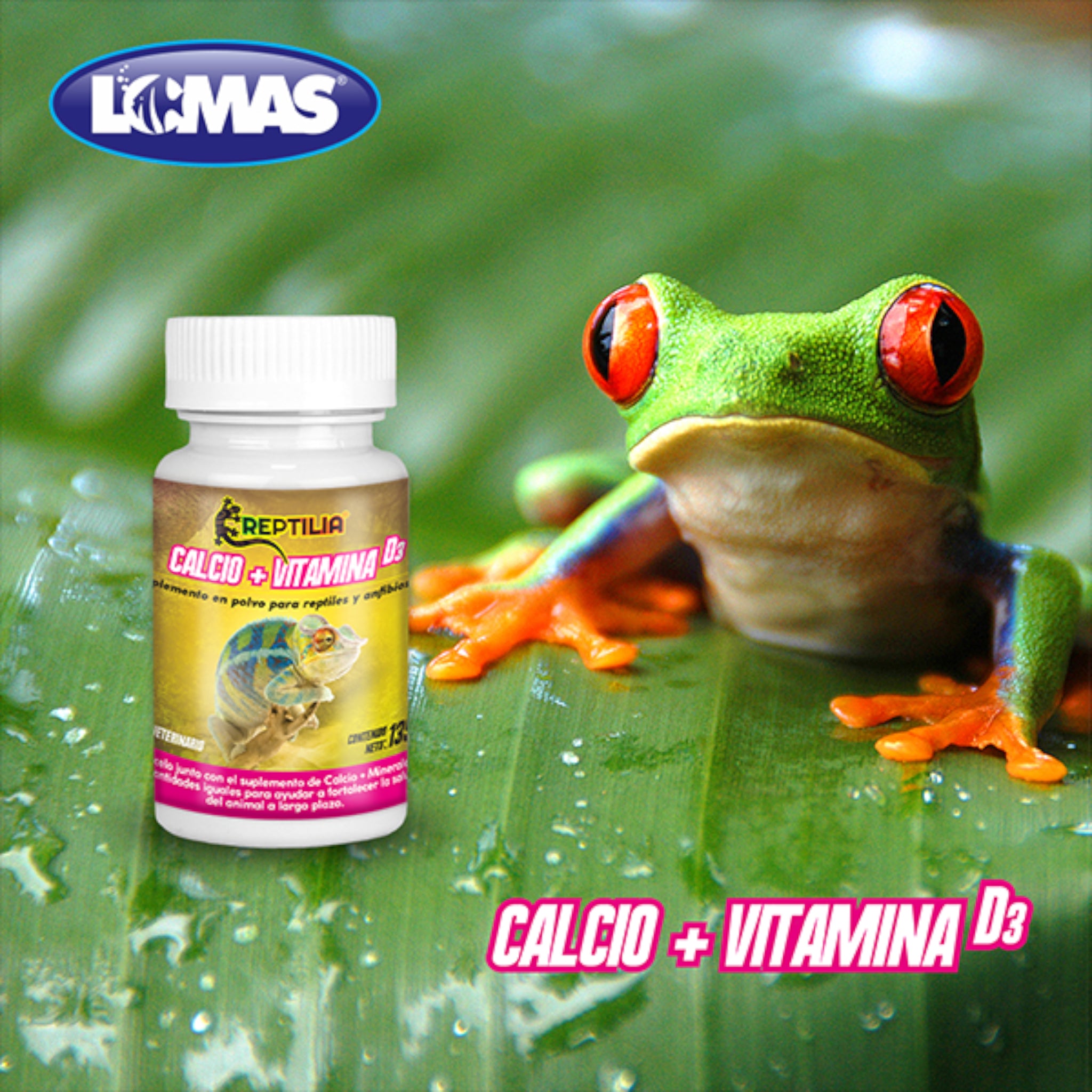 suplemento de calcio con vitamina d3 para reptiles y anfibios junto a una rana de ojos rojos sobre una hoja verde