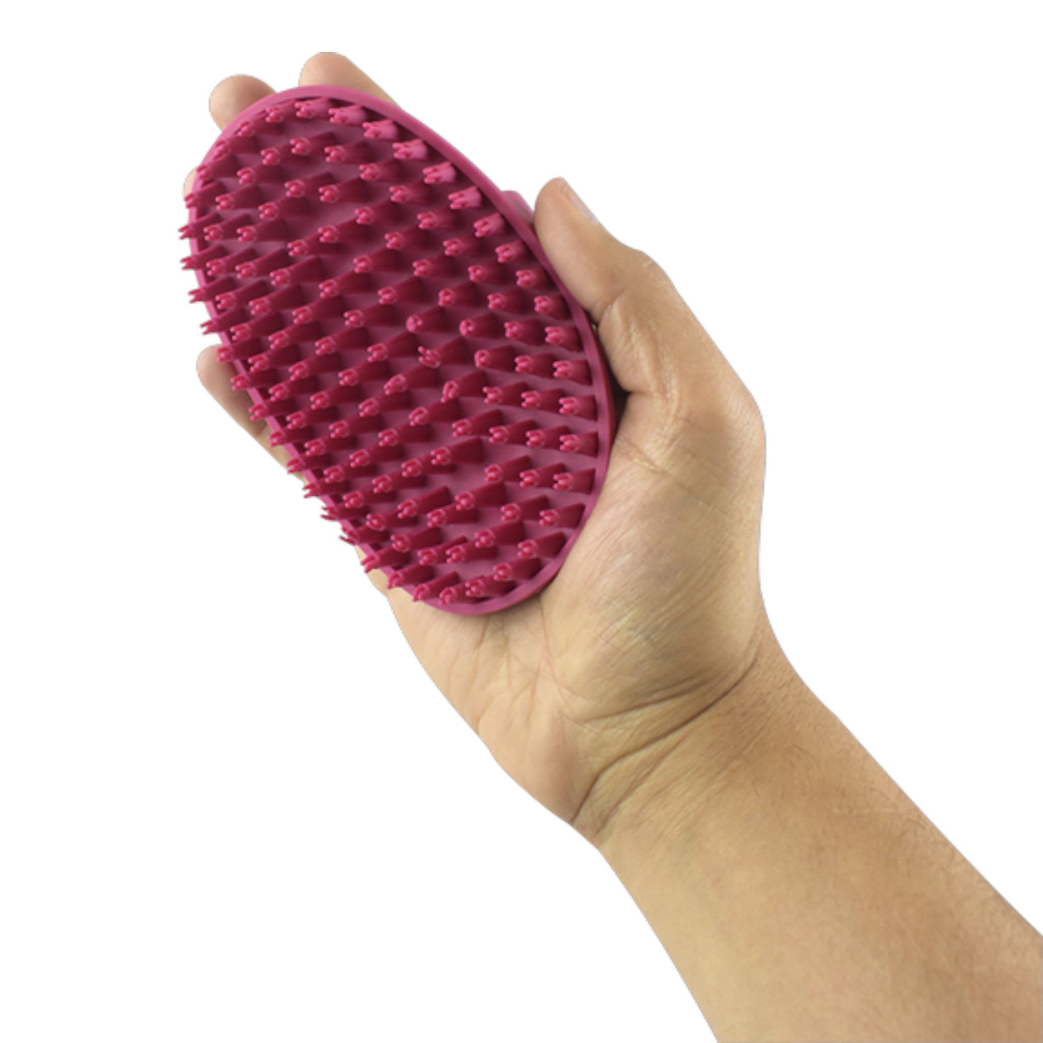 Carda de goma Fancy Pets sostenida en la mano mostrando su tamaño y ergonomía