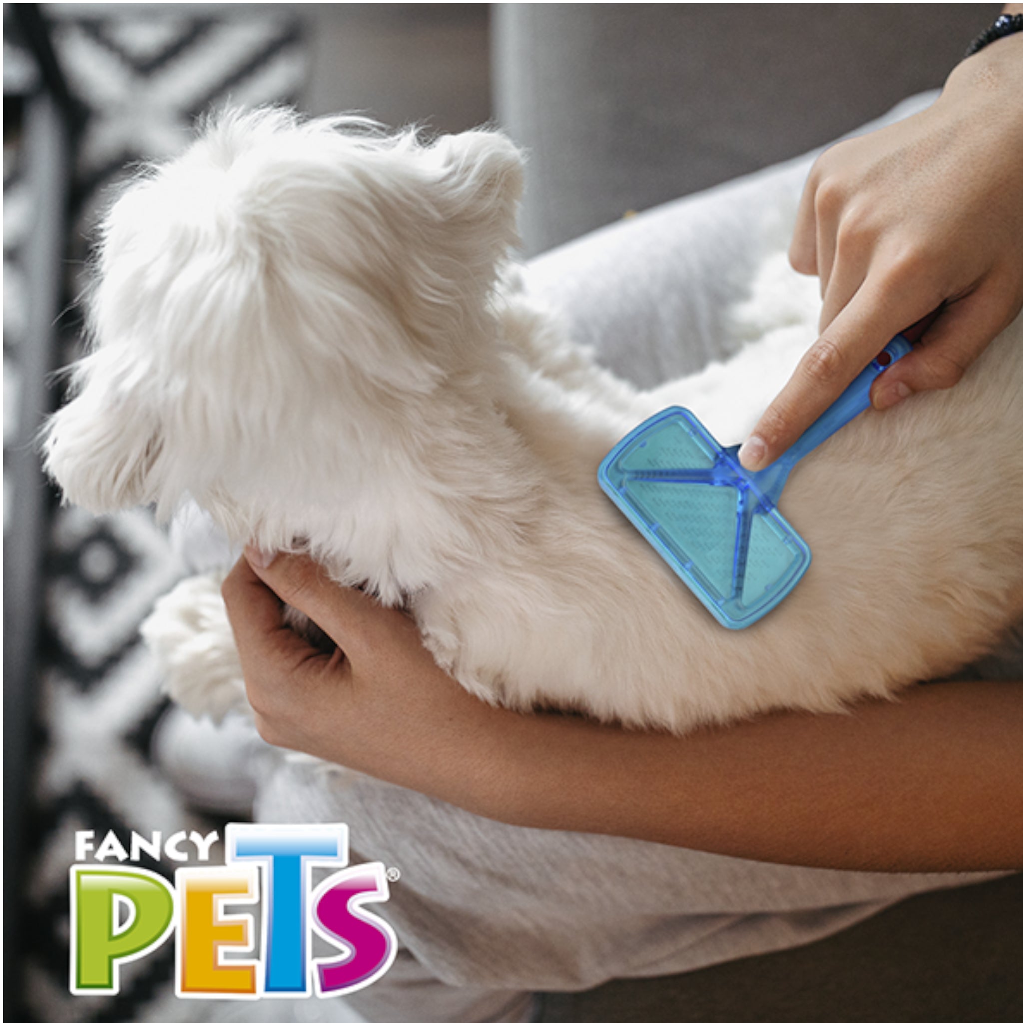 Persona usando una carda suave azul para cepillar el pelaje de un perro blanco.