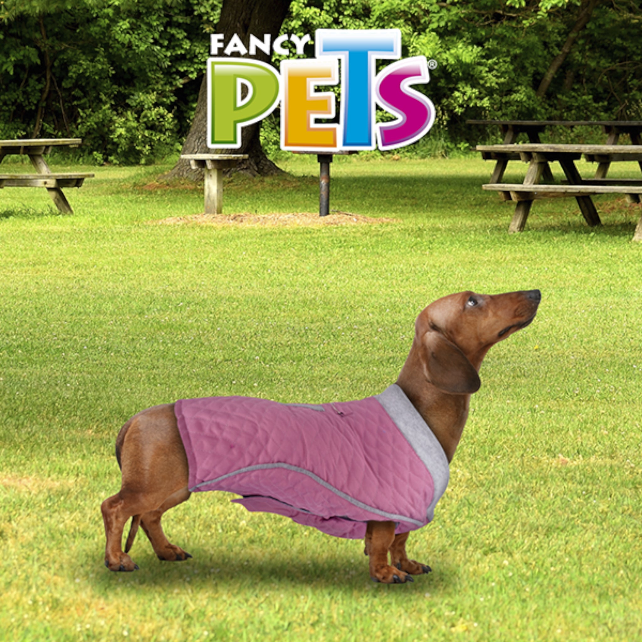 Perra dusando el chaleco acolchado Tammy color rosa, mostrando el ajuste perfecto al cuerpo y la libertad de movimiento.