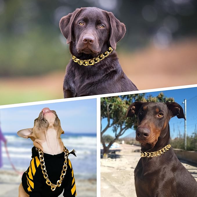 Collar de cadena de eslabones cubanos de lujo para perro