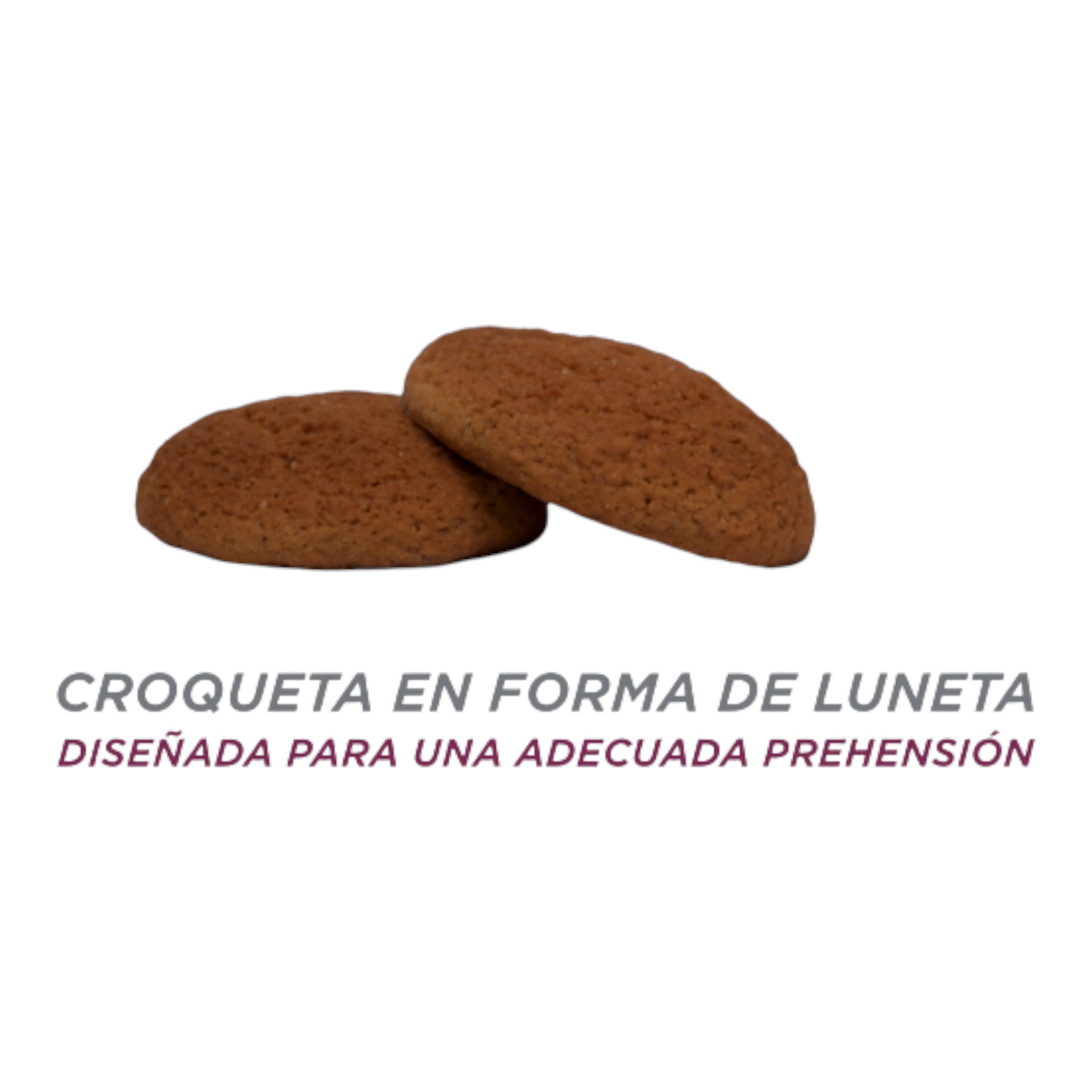 Acercamiento a las croquetas de Nupec Renal Care de alta densidad calórica para estimular el apetito felino.