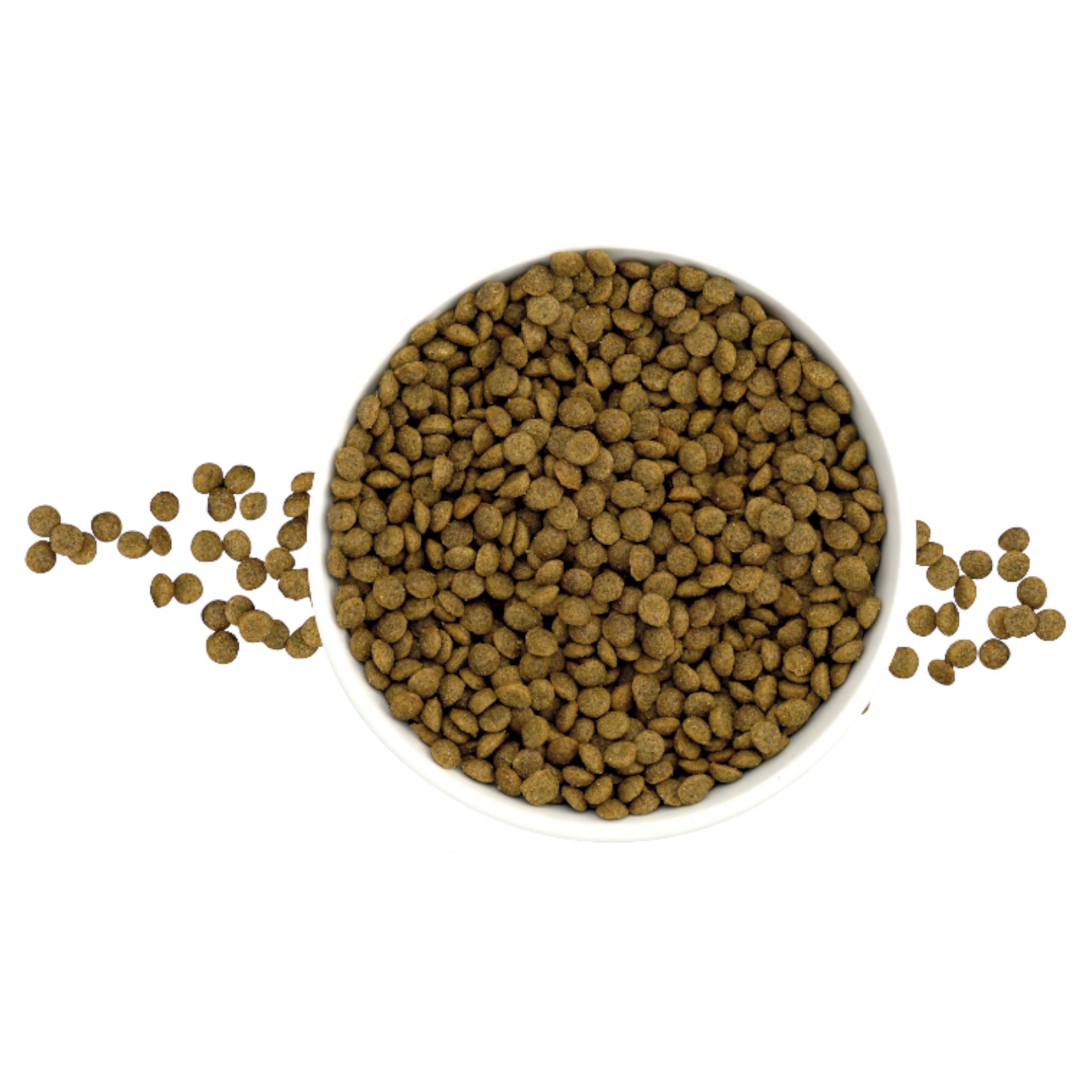 Vista de las croquetas miniatura de Nucan Cachorro en un plato, diseñadas para la fácil masticación de cachorros