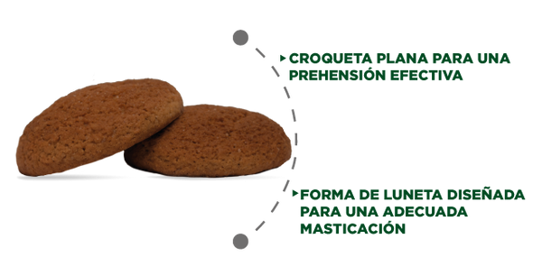 Nupec Felino Hairball