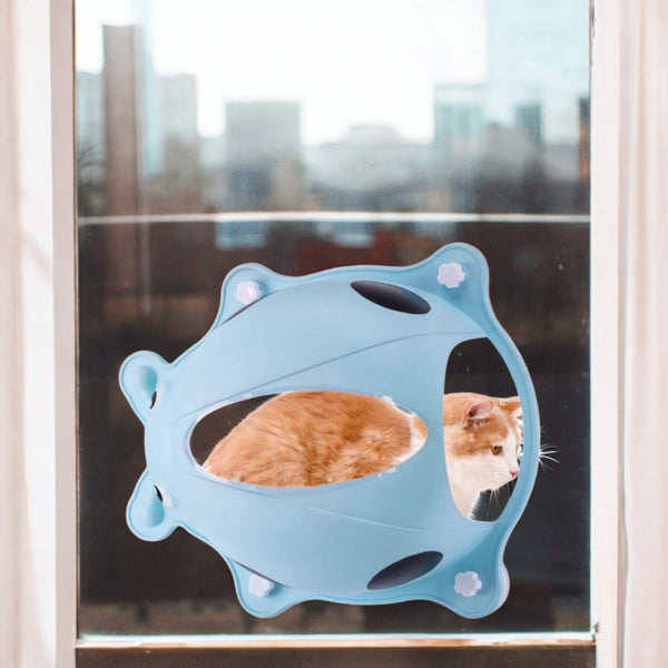 Cama de ventana  de catarina